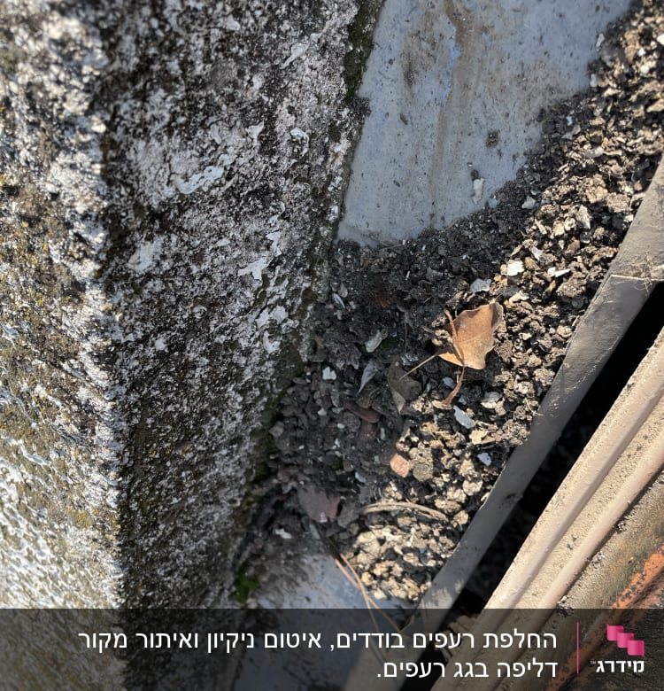 גג עם לכלוך ועלים יבשים על משטח בטון